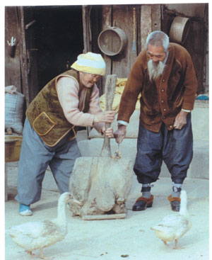 <노 부부> 부산일보사진콘테스트 금상 수상작(1982년). 원동면 화제리 범서마을의 한 농가에서 노부부가 메주콩을 절구에 찧는 장면이다. 원래는 영감님은 툇마루에 걸터앉아 있고 할머니 혼자서 방아를 찧고 있었지만, 작가가 영감님더러 할머니 옆으로 오시라고 청을 해 이 장면을 연출했는데, 때마침 어디선가 거위 두 마리가 나타나 뜻하지 않은 구도가 잡혔다고. 